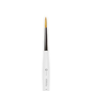 Pincel Allwhite 4 - Odontomega