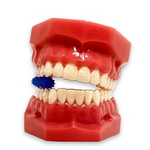 Mordedor Power Aligner 10 Menta - Coraldent