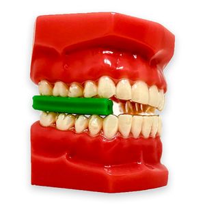 Mordedor Power Aligner com 4 Divisões Menta - Coraldent