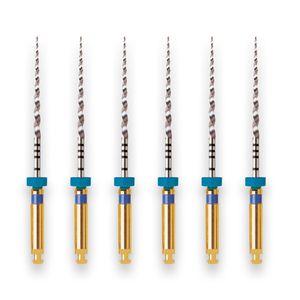 Lima Rotatória Protaper Universal 25mm com 6 Maillefer - Dentsply Sirona