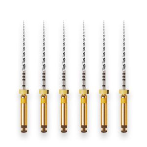 Lima Rotatória Protaper Universal F1 31mm com 6 Maillefer - Dentsply Sirona