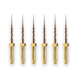 Protaper Gold Sx 19mm - Dentsply Sirona