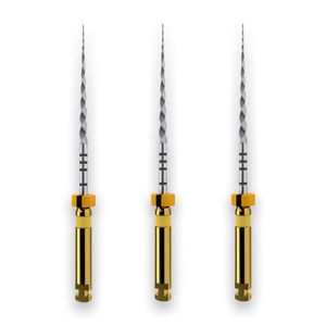 Lima Rotatória Protaper Next 31mm - Dentsply Sirona