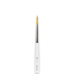 Pincel Allwhite 6 - Odontomega