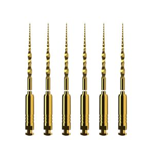 Lima Rotatória Protaper Ultimate SX 19mm com 6 - Dentsply Sirona
