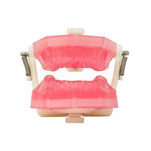 Manequim de Endodontia PD107 - Pronew