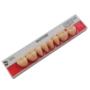 Dente Biotone Posterior Superior - Dentsply Sirona