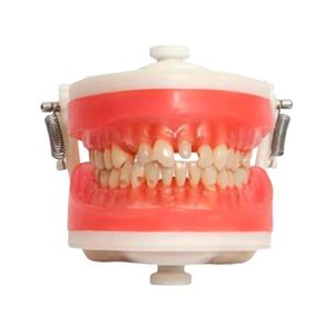 Manequim Top Materiais Dentários PD101 - Pronew